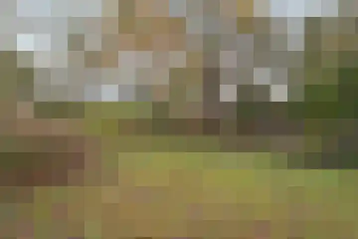 Tapijtweg 28 Den Haag thumbnail 32
