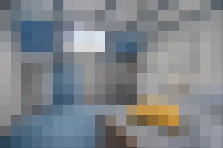 Tappershofstraat 10 Middelburg thumbnail 25