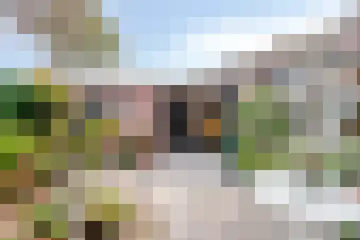 Tappershofstraat 10 Middelburg thumbnail 28