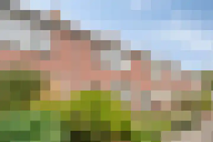 Tappershofstraat 10 Middelburg thumbnail 33