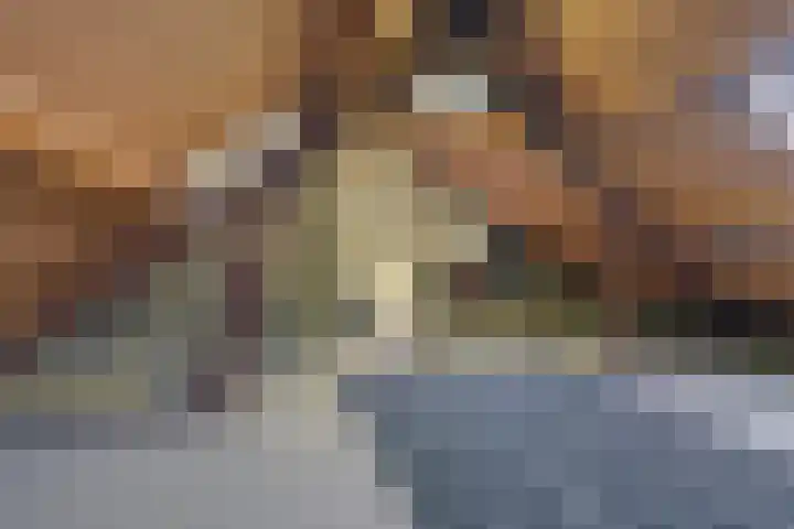 Tappershofstraat 24 Middelburg thumbnail 21