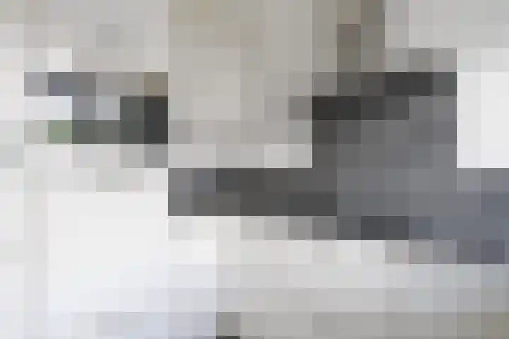 Tappershofstraat 24 Middelburg thumbnail 6