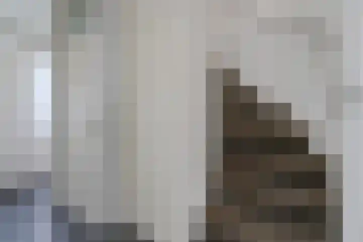 Tappershofstraat 24 Middelburg thumbnail 9