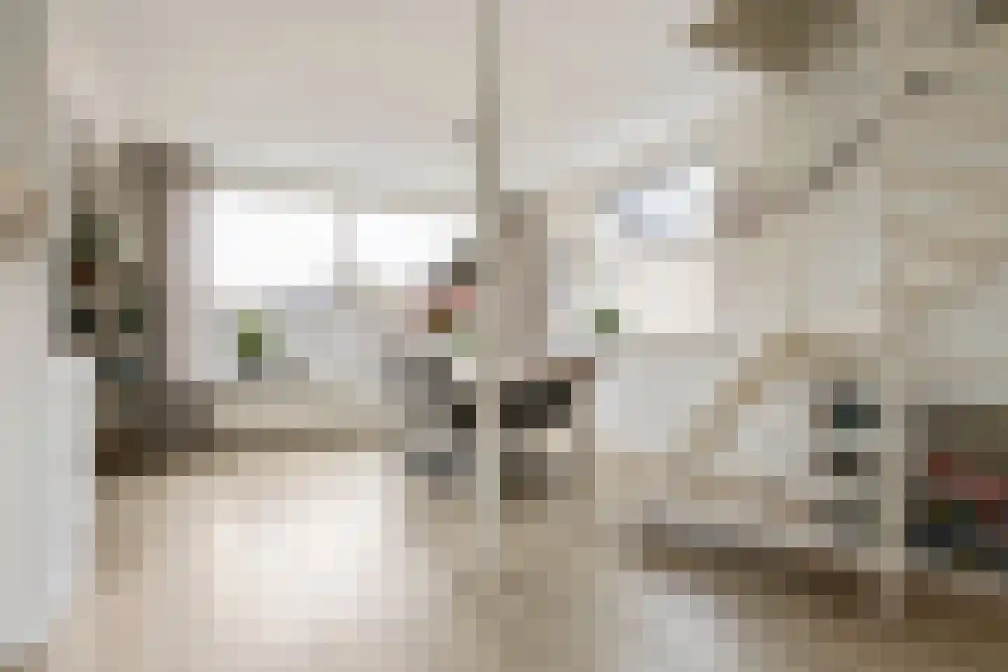Tappersrijge 1 Bedum thumbnail 16