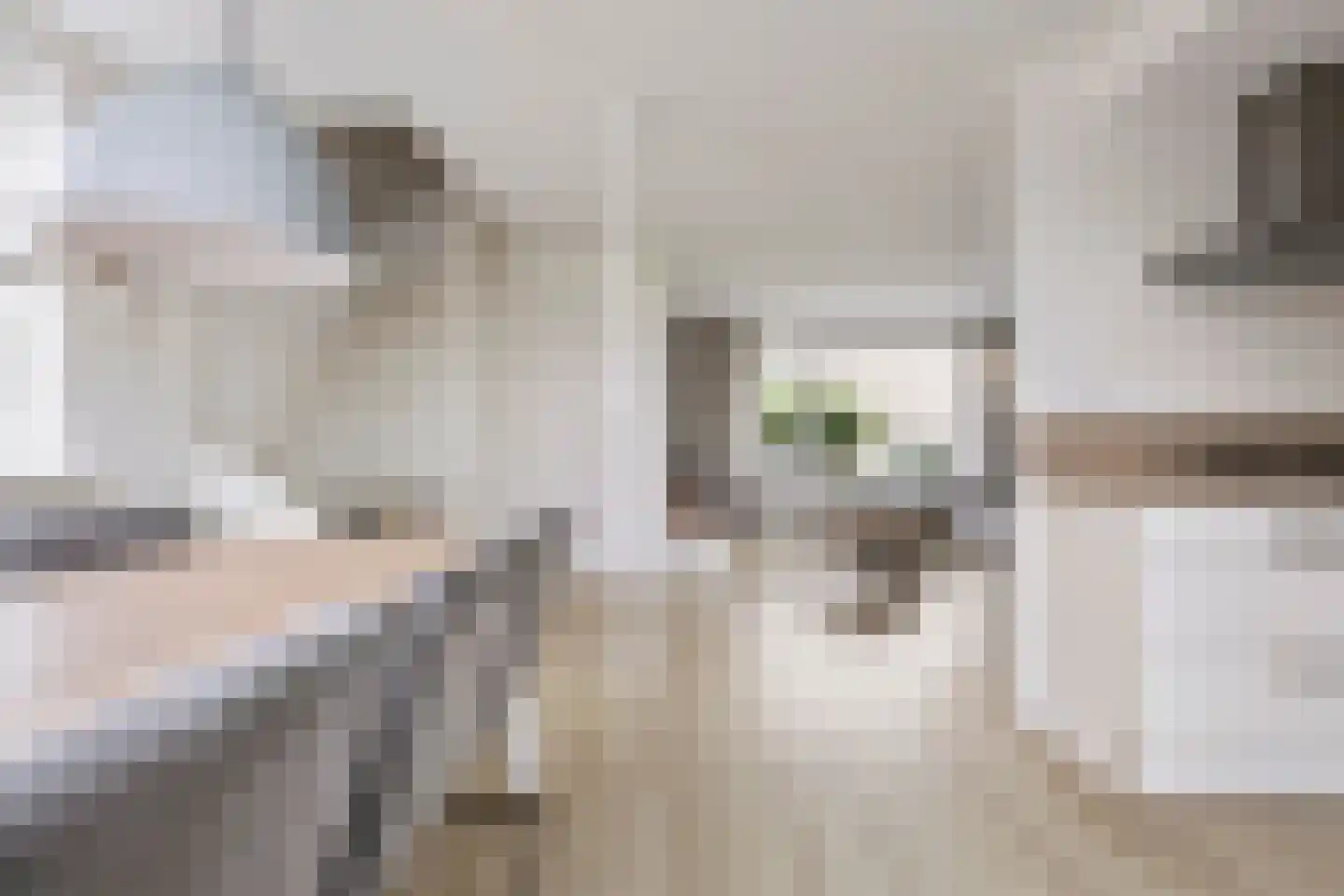 Tappersrijge 1 Bedum thumbnail 20