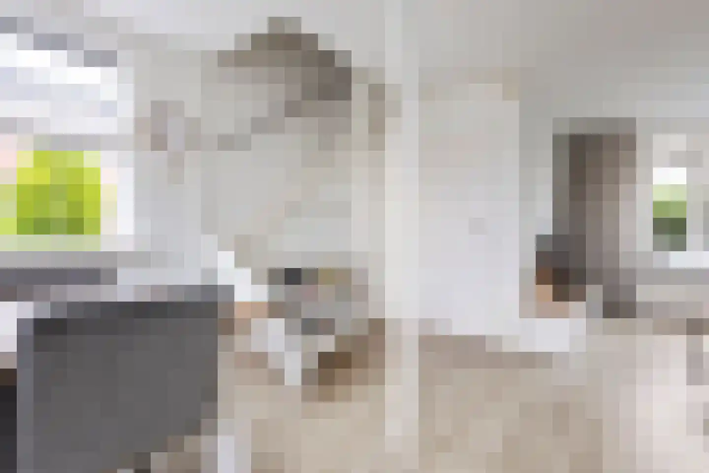 Tappersrijge 1 Bedum thumbnail 21