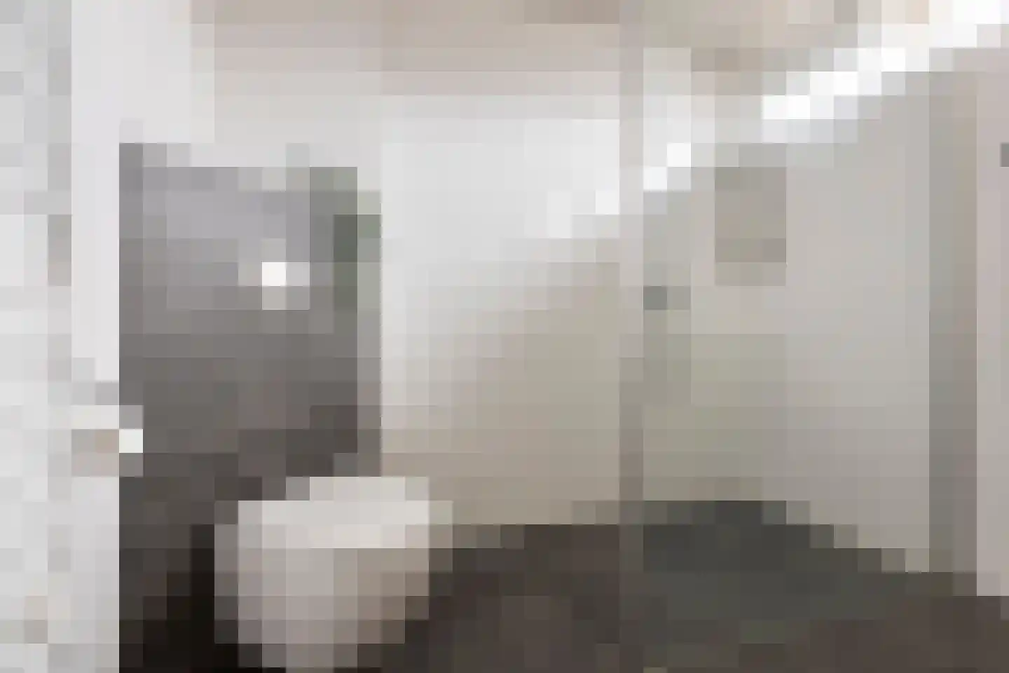 Tappersrijge 1 Bedum thumbnail 33