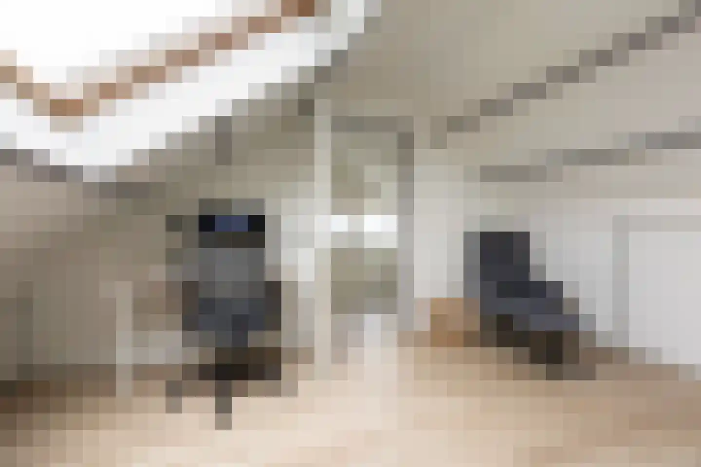 Tappersrijge 1 Bedum thumbnail 39