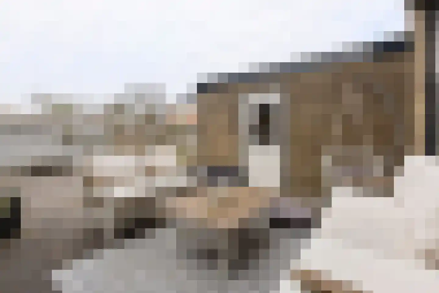 Tappersrijge 1 Bedum thumbnail 40