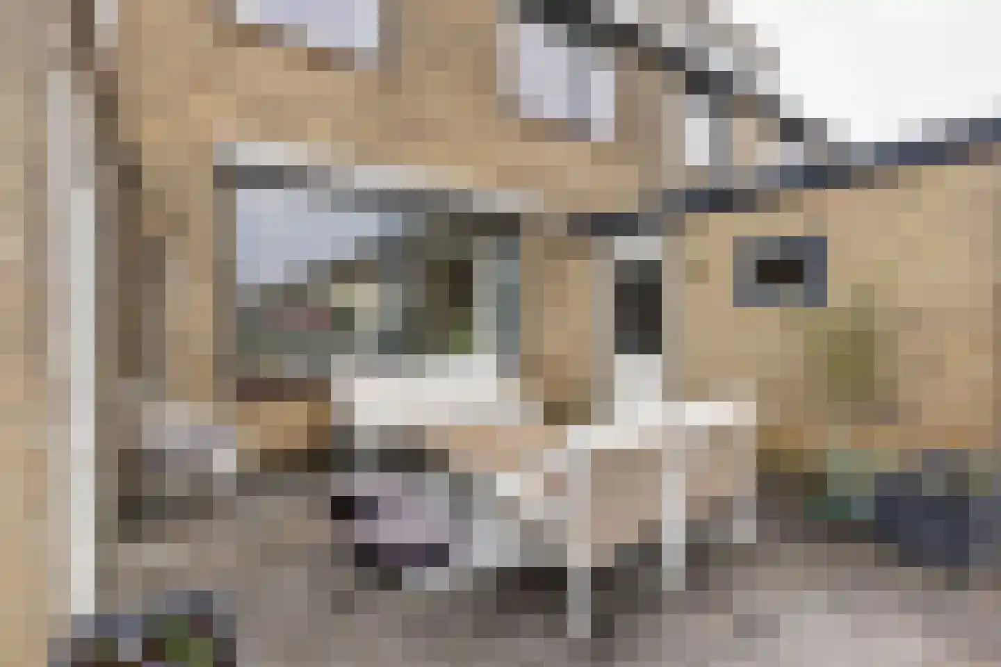 Tappersrijge 1 Bedum thumbnail 41