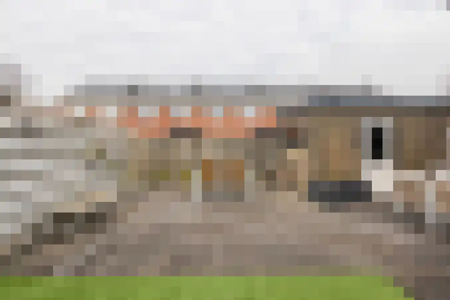 Tappersrijge 1 Bedum thumbnail 6