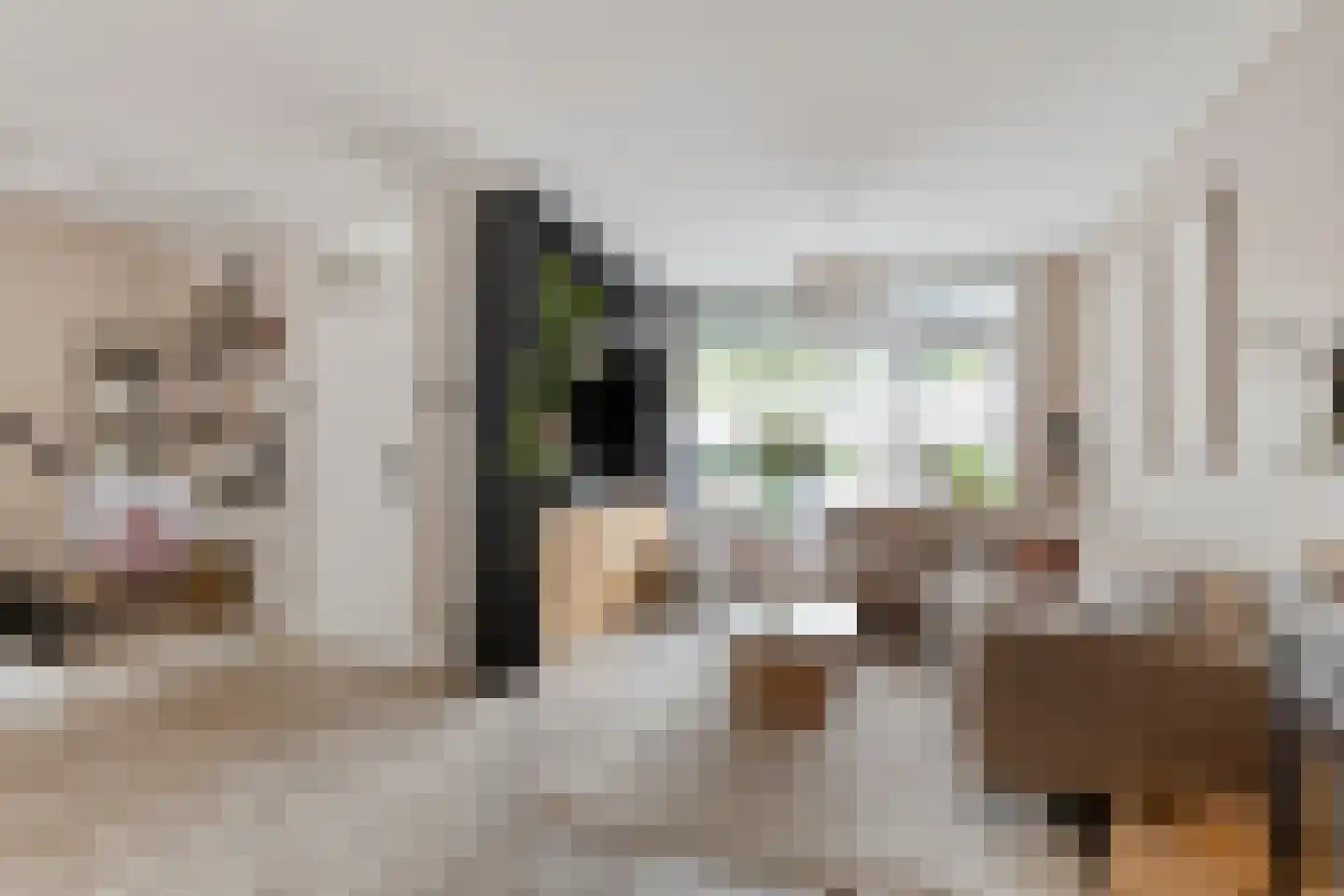 Tapperstraat 71 Gorinchem thumbnail 8
