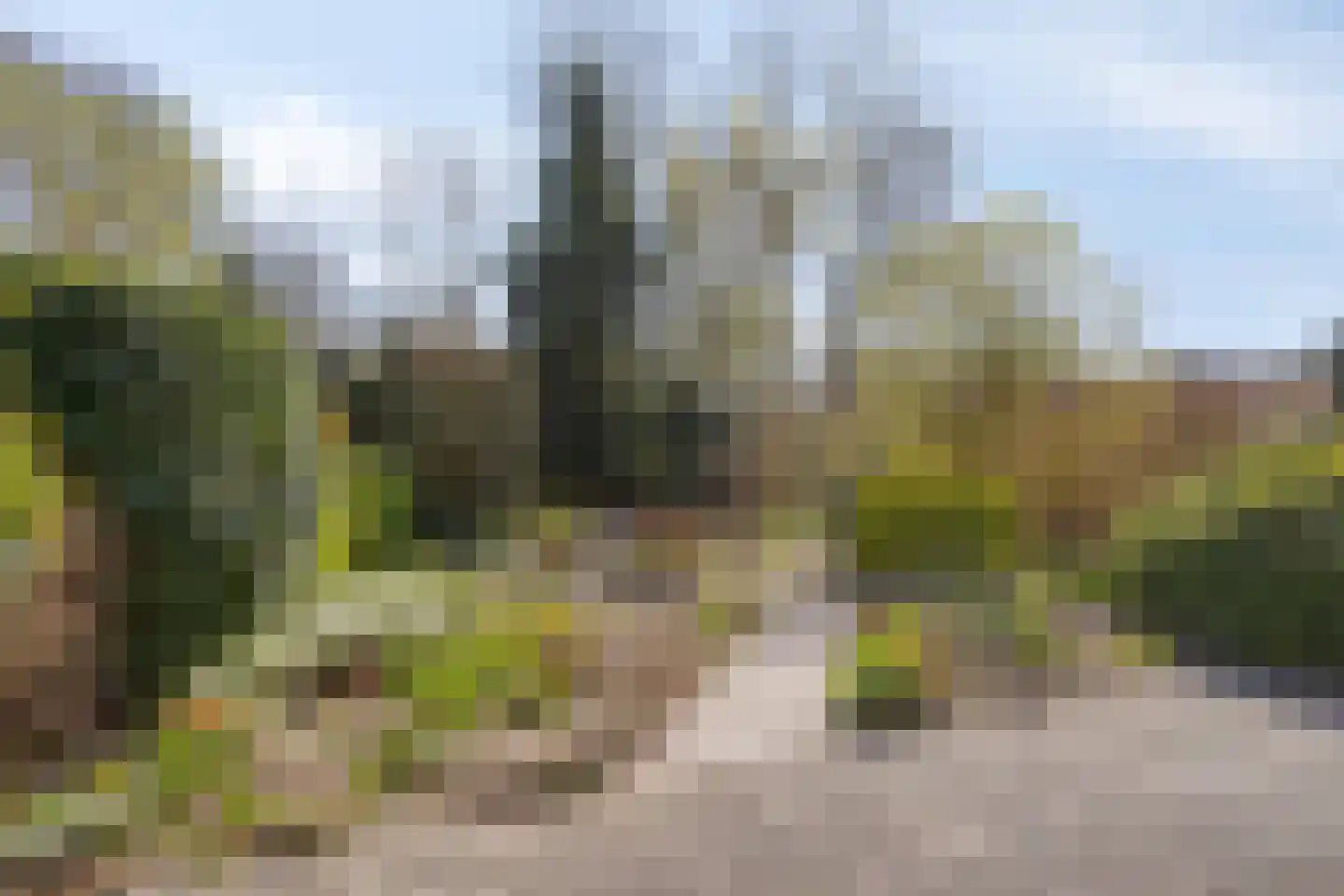 Tappisstraat 8 Arnhem thumbnail 20