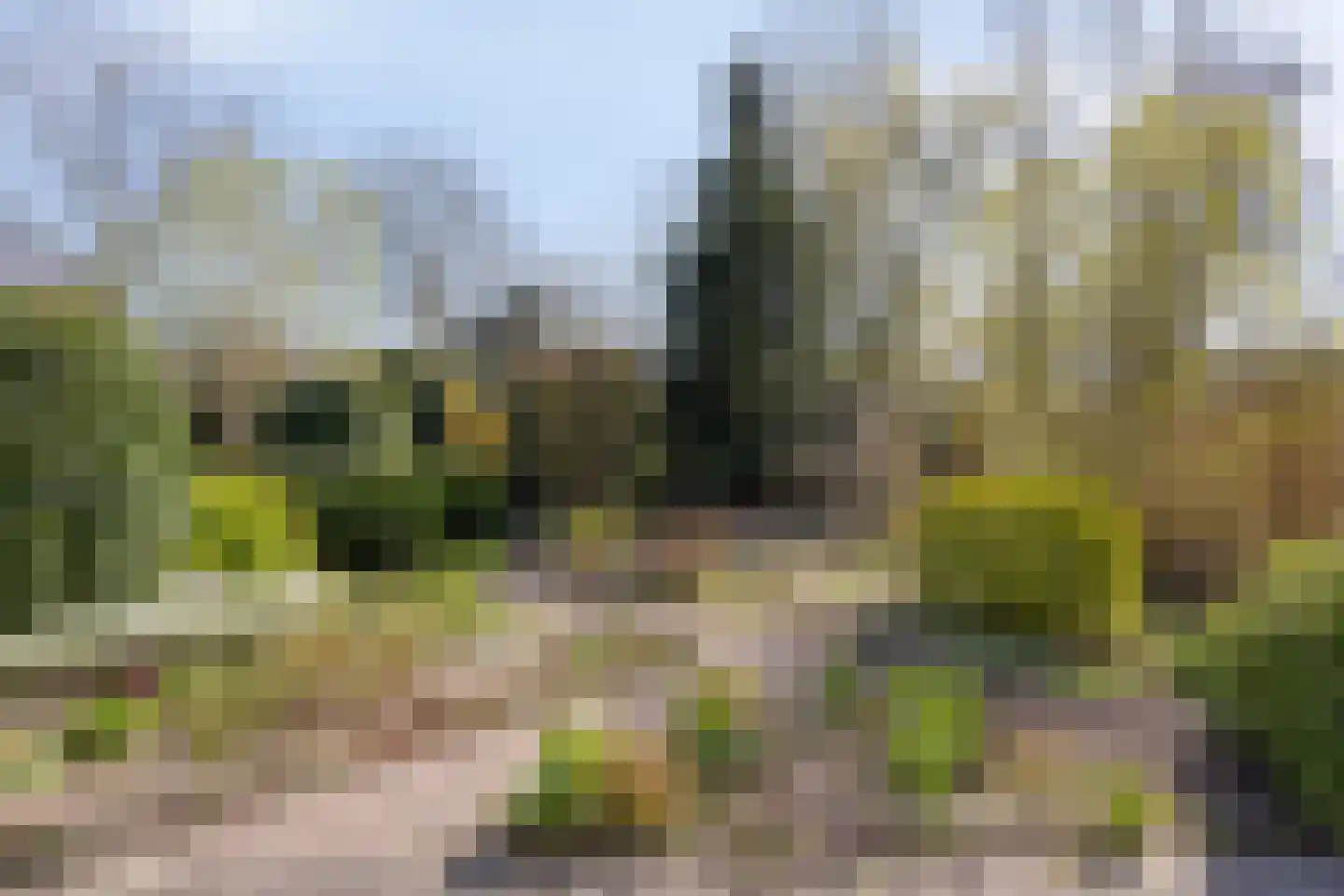Tappisstraat 8 Arnhem thumbnail 21