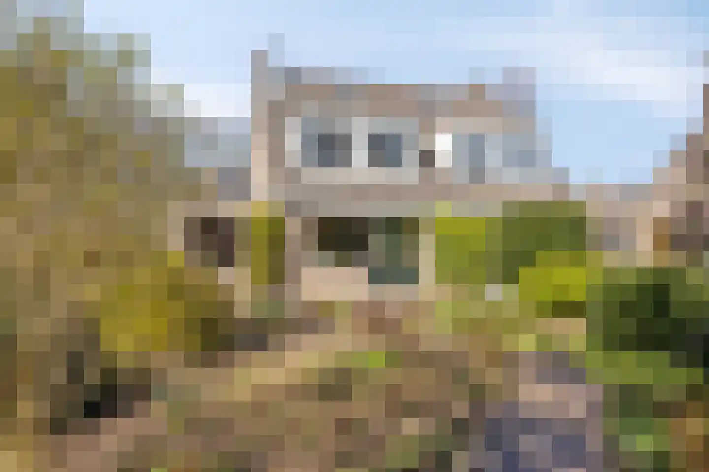Tappisstraat 8 Arnhem thumbnail 23
