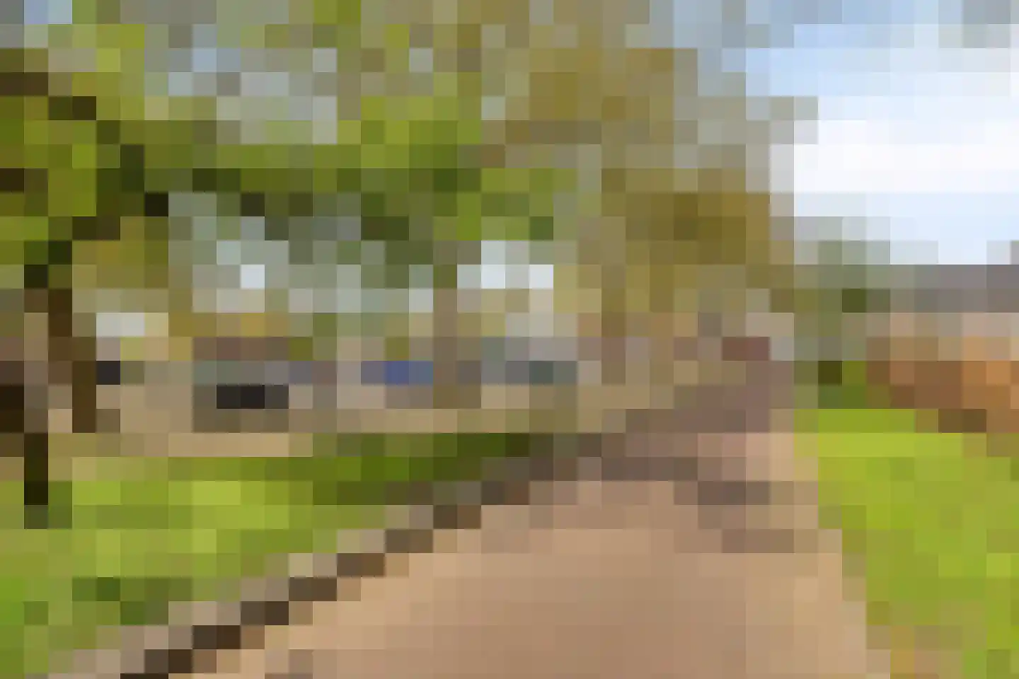 Tappisstraat 8 Arnhem thumbnail 45