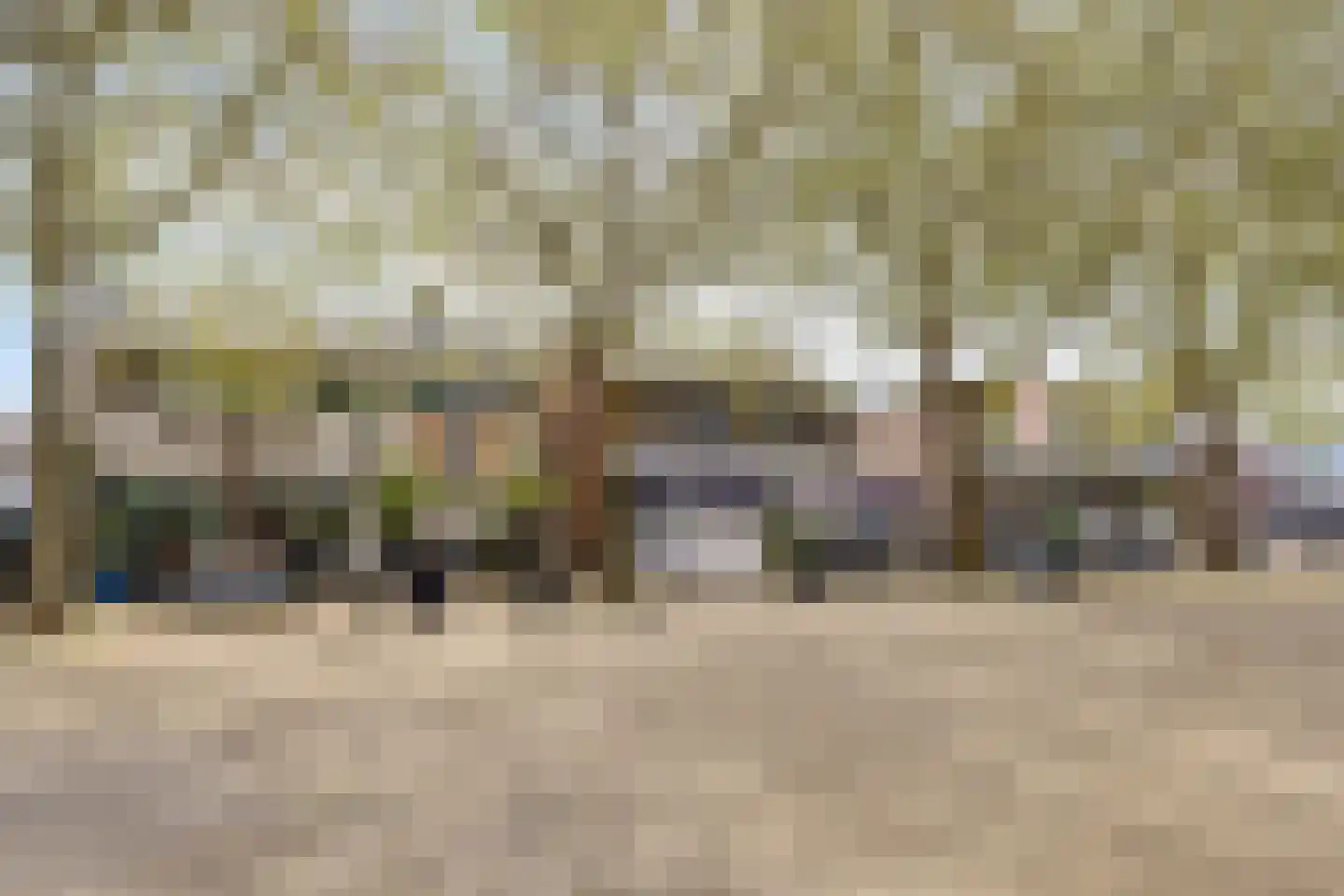 Tappisstraat 8 Arnhem thumbnail 46