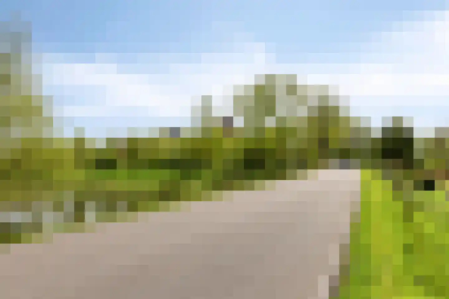 Tappisstraat 8 Arnhem thumbnail 49