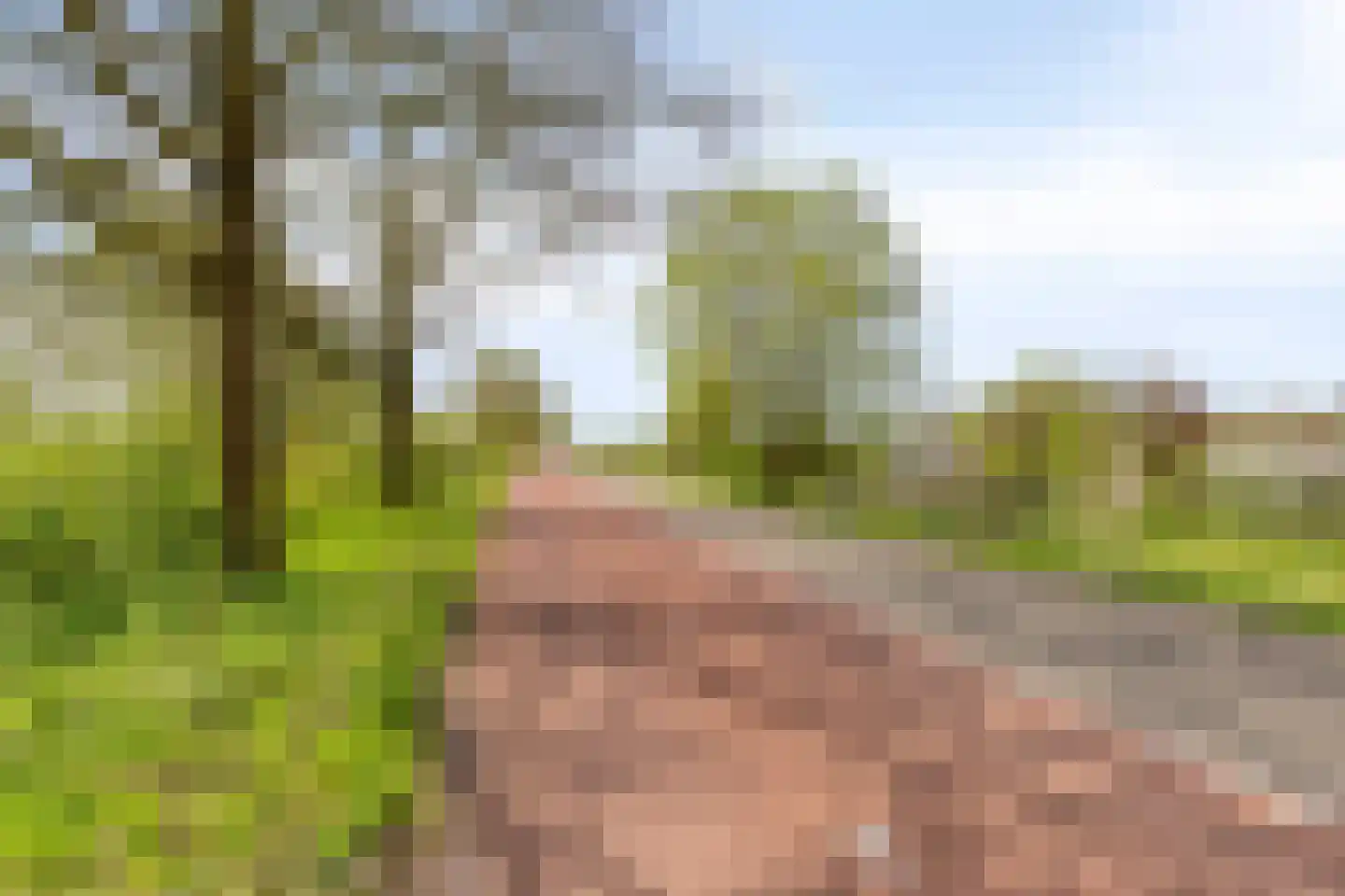 Tappisstraat 8 Arnhem thumbnail 52