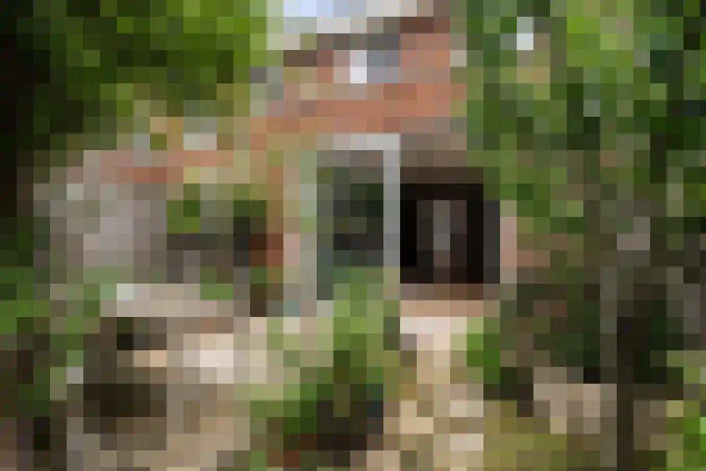 Tapstraat 14 Rotterdam thumbnail 10