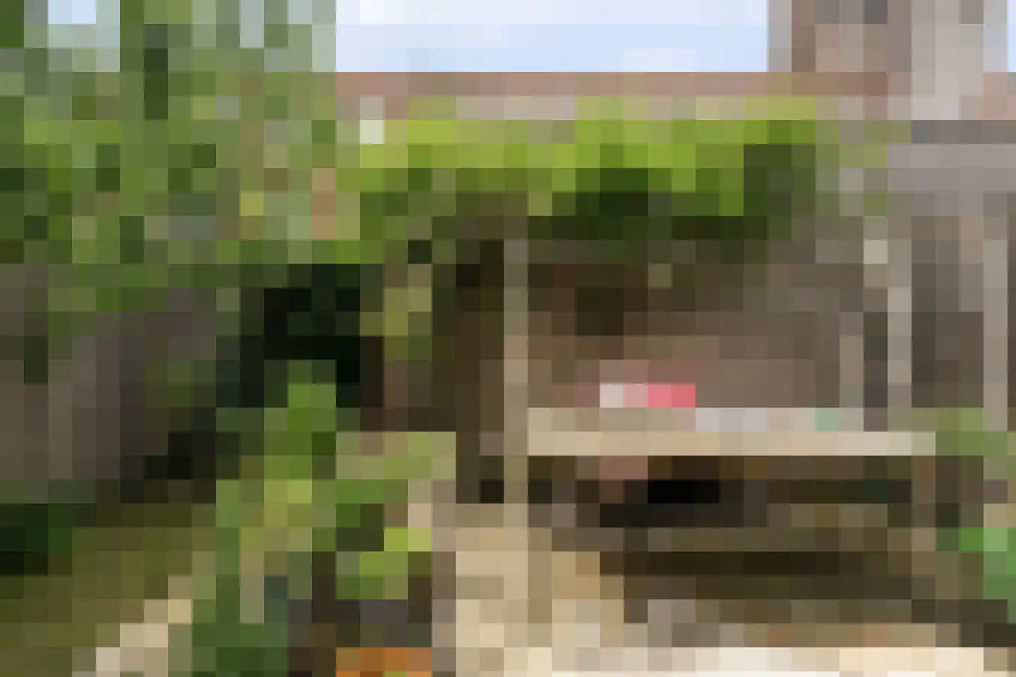 Tapstraat 14 Rotterdam thumbnail 11