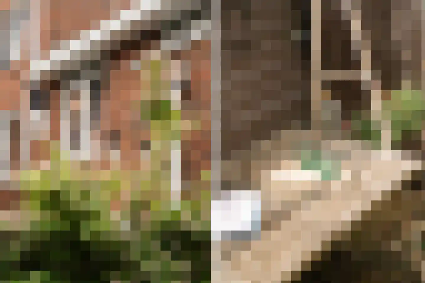 Tapstraat 14 Rotterdam thumbnail 12