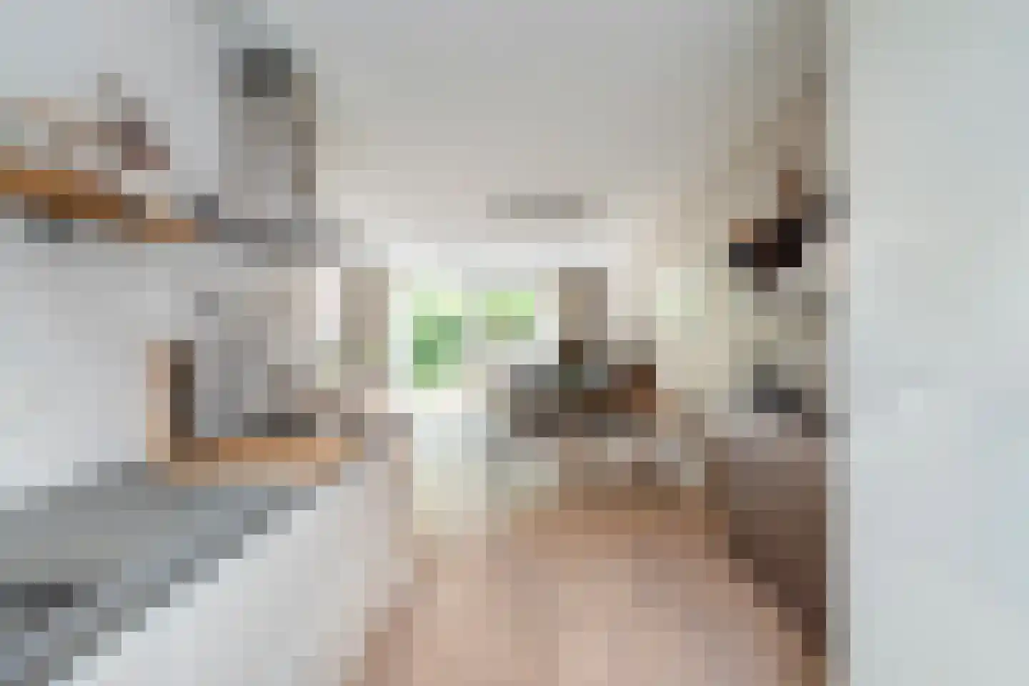 Tapstraat 14 Rotterdam thumbnail 20
