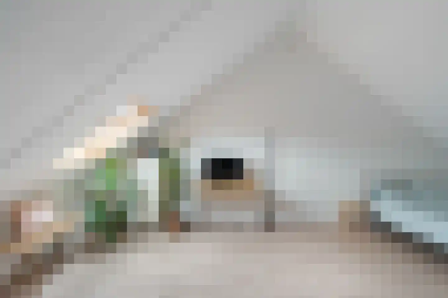 Tapstraat 14 Rotterdam thumbnail 30