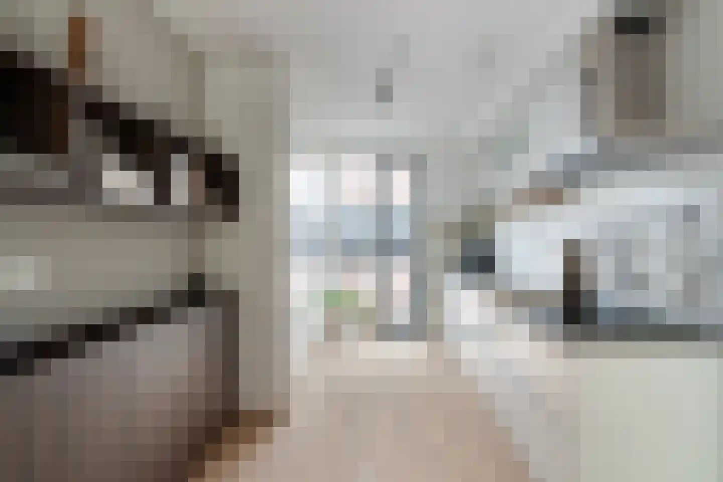 Tapstraat 14 Rotterdam thumbnail 4