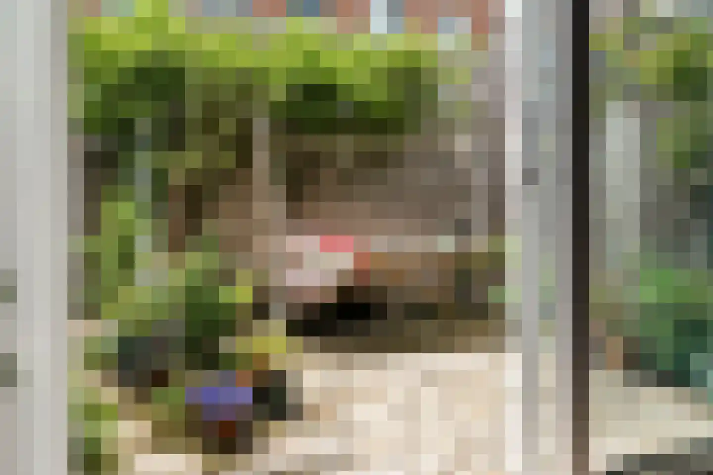 Tapstraat 14 Rotterdam thumbnail 9