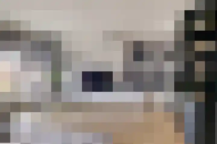 Tapuitlaan 1 Hoogeveen thumbnail 11