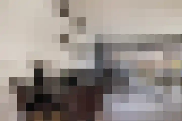 Tapuitlaan 1 Hoogeveen thumbnail 12