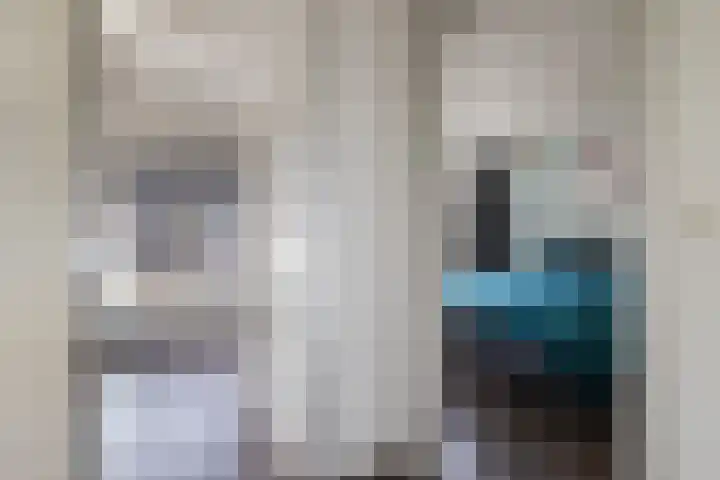 Tapuitlaan 1 Hoogeveen thumbnail 16