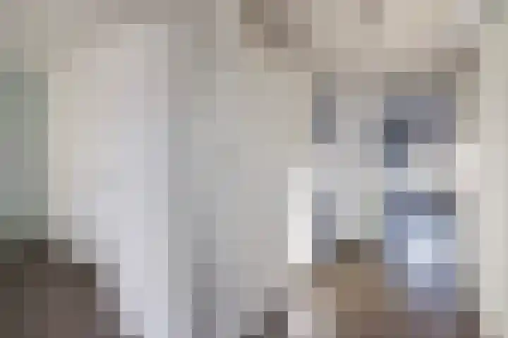 Tapuitlaan 1 Hoogeveen thumbnail 17