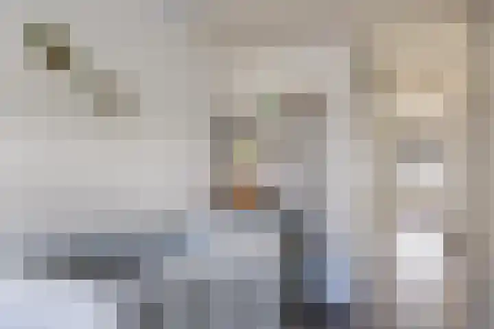Tapuitlaan 1 Hoogeveen thumbnail 19