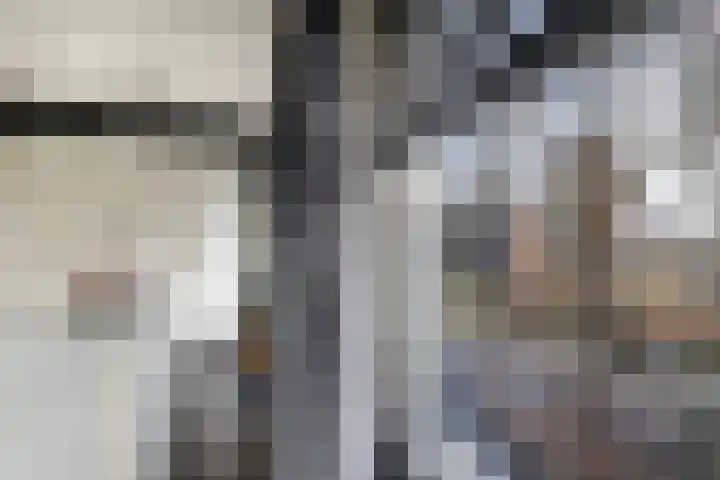 Tapuitlaan 1 Hoogeveen thumbnail 26