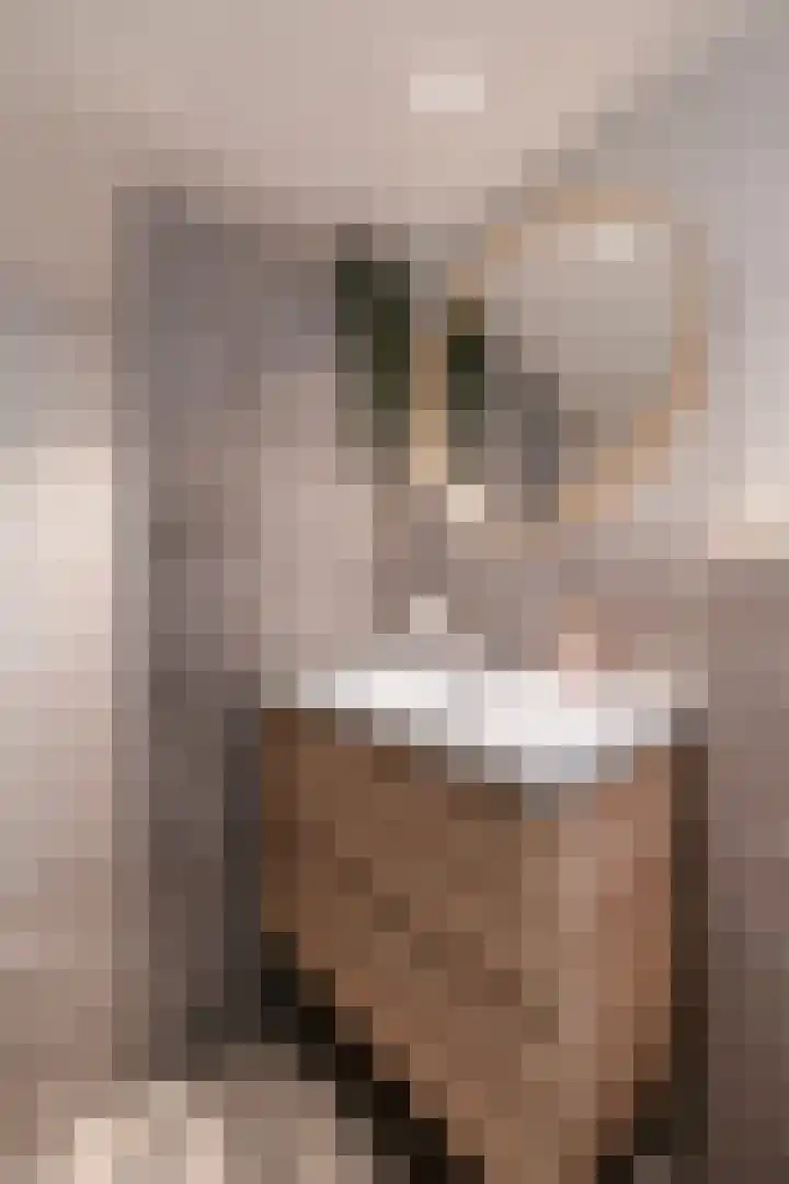 Tapuitlaan 1 Hoogeveen thumbnail 29