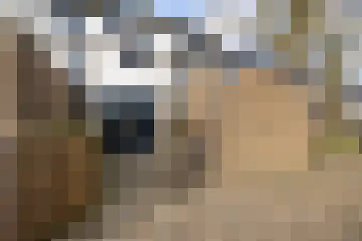 Tapuitlaan 1 Hoogeveen thumbnail 35