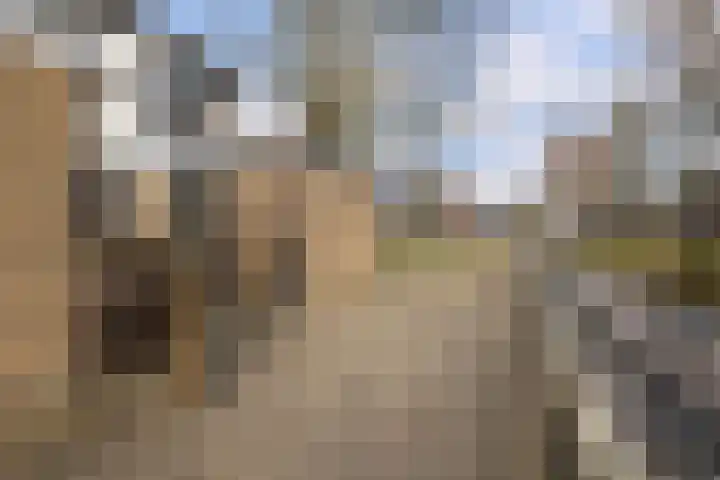 Tapuitlaan 1 Hoogeveen thumbnail 36