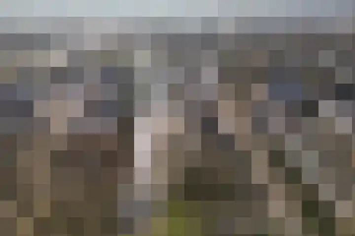 Tapuitlaan 1 Hoogeveen thumbnail 37