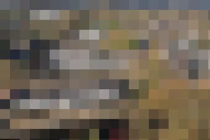 Tapuitlaan 1 Hoogeveen thumbnail 38