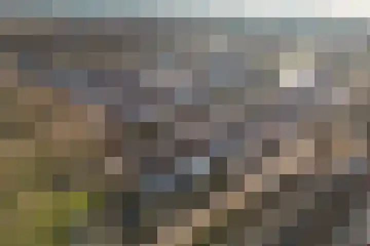Tapuitlaan 1 Hoogeveen thumbnail 39
