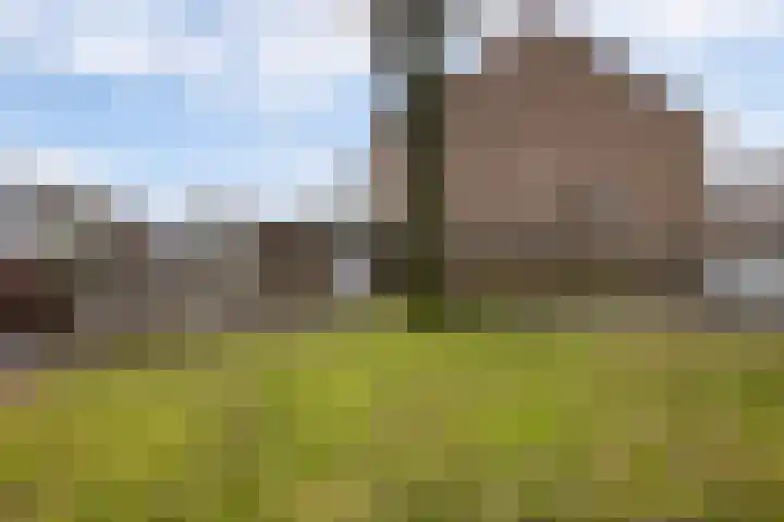 Tapuitlaan 1 Hoogeveen thumbnail 40