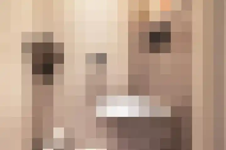 Tapuitlaan 1 Hoogeveen thumbnail 6