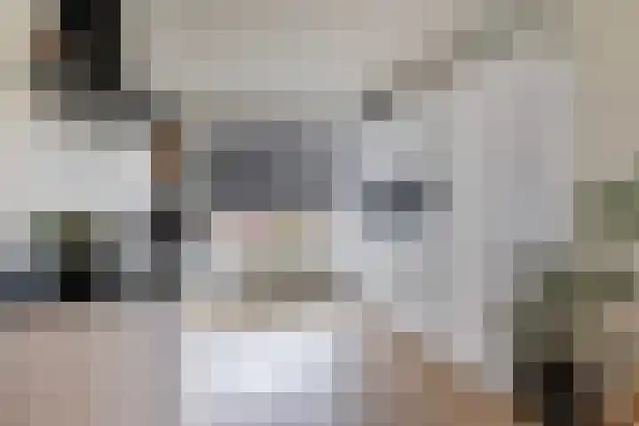 Tapuitlaan 1 Hoogeveen thumbnail 7