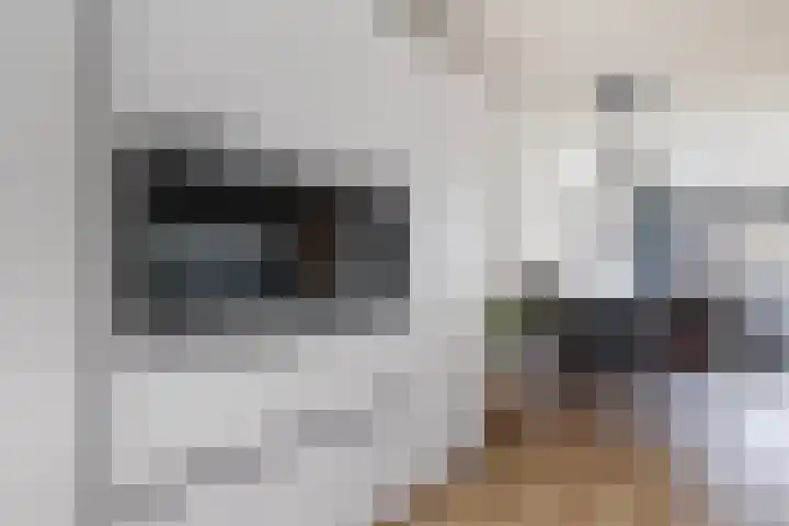 Tapuitlaan 1 Hoogeveen thumbnail 8