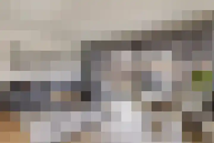 Tapuitlaan 1 Hoogeveen thumbnail 9