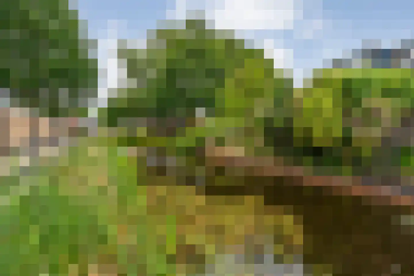 Tapuitlaan 11 Hoogeveen thumbnail 13