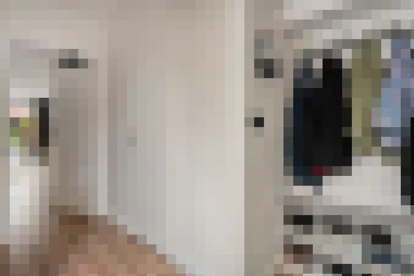 Tapuitlaan 11 Hoogeveen thumbnail 21