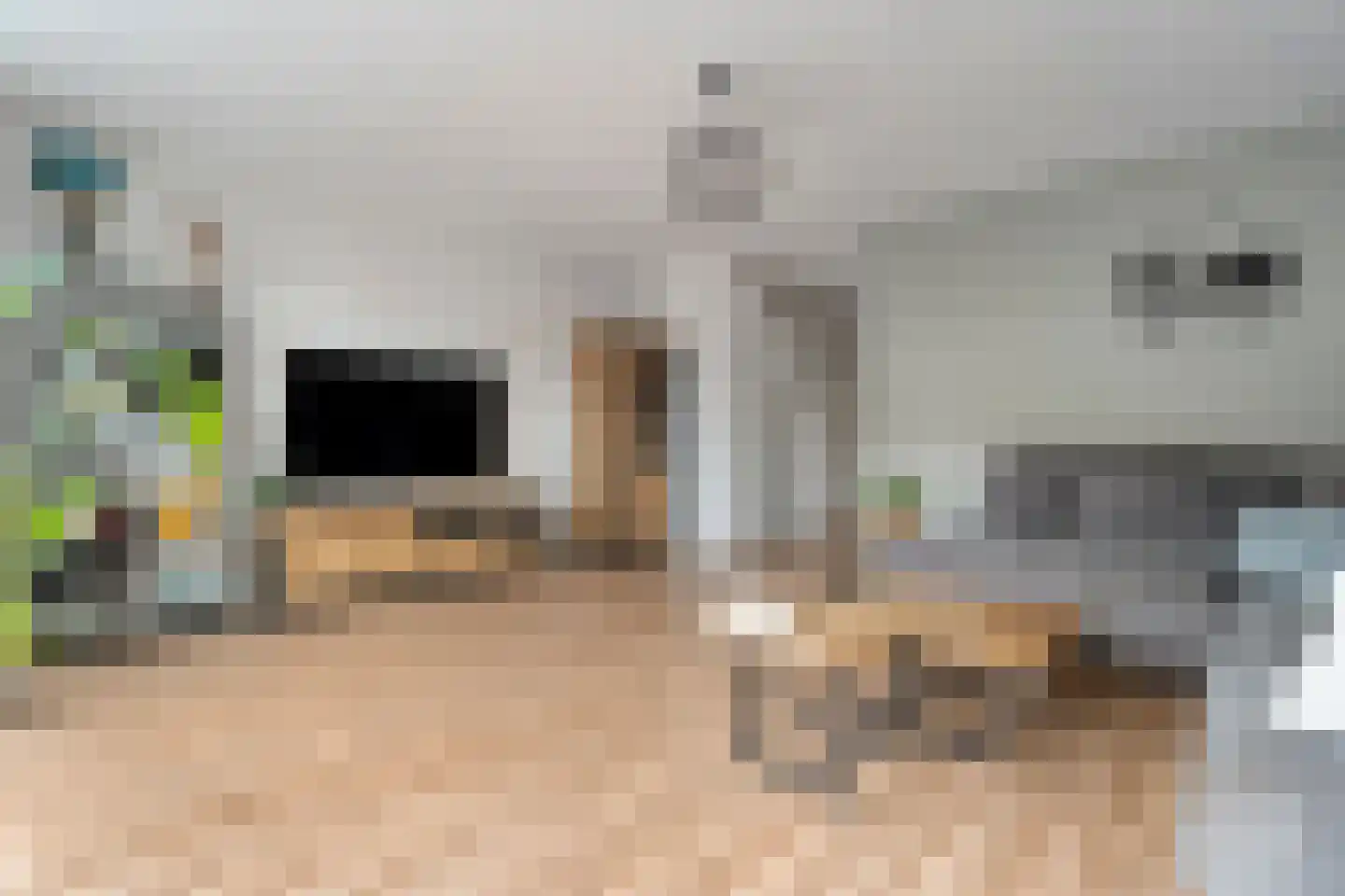 Tapuitlaan 11 Hoogeveen thumbnail 33